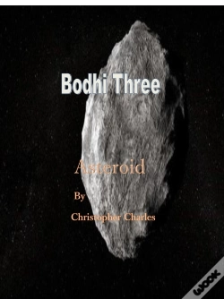 Capa do artigo Bodhi Three Asteroid