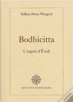 Capa do artigo Bodhicitta L'Esprit D'Eveil