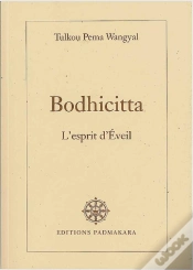 Capa do artigo Bodhicitta L