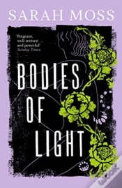 Capa do artigo Bodies Of Light