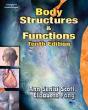 BODY STRUCTURES - Preview