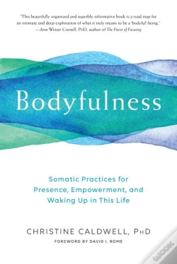 Capa do artigo Bodyfulness