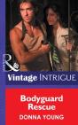 Bodyguard Rescue - Preview