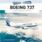 Boeing 737 - Preview