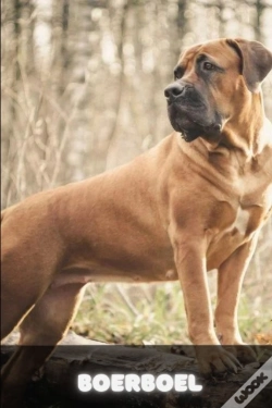 Capa do artigo Boerboel