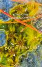 Bog Treasure - Preview
