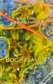 Capa do artigo Bog Treasure