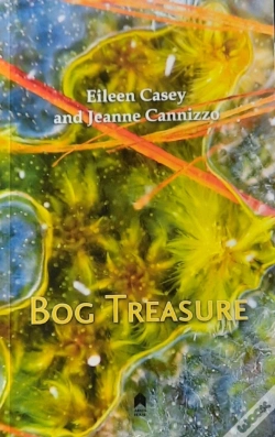 Capa do artigo Bog Treasure