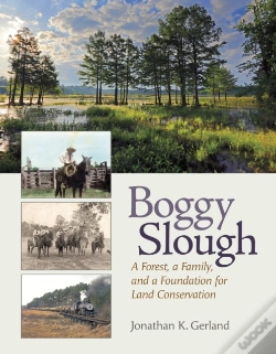 Capa do artigo Boggy Slough