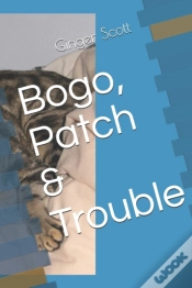 Capa do artigo Bogo, Patch & Trouble