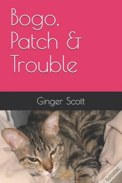 Capa do artigo Bogo, Patch & Trouble