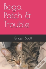 Capa do artigo Bogo, Patch & Trouble