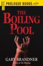 Boiling Pool - Preview