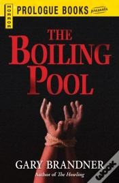 Capa do artigo Boiling Pool