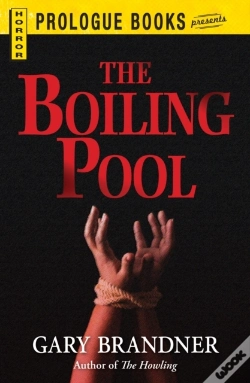 Capa do artigo Boiling Pool