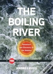Capa do artigo Boiling River