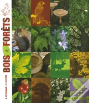 Capa do artigo Bois & Forêts