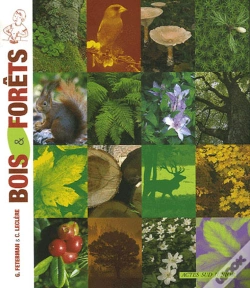 Capa do artigo Bois & Forêts