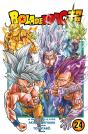 Bola De Drac Super Nº 24 - Preview