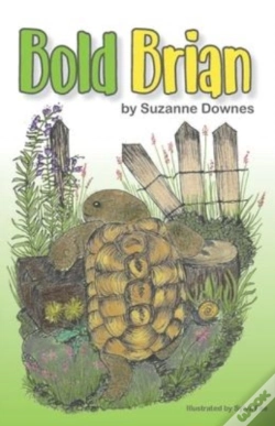 Capa do artigo Bold Brian
