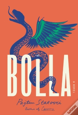 Capa do artigo Bolla