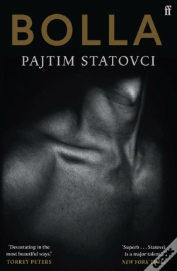 Capa do artigo Bolla