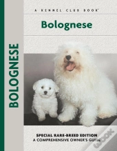 Bolognese