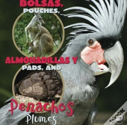 Capa do artigo Bolsas, Almohadillas Y Penachos