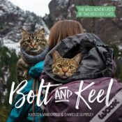 Capa do artigo Bolt And Keel