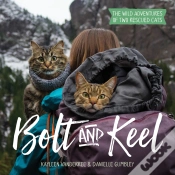 Capa do artigo Bolt And Keel
