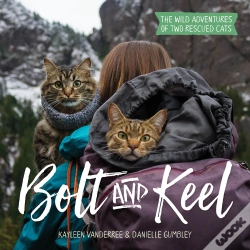Capa do artigo Bolt And Keel