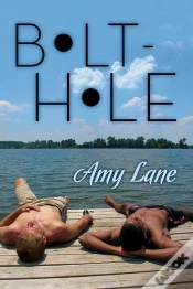 Capa do artigo Bolt-Hole