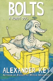 Capa do artigo Bolts