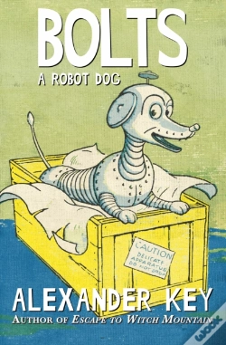 Capa do artigo Bolts
