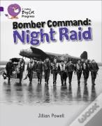 Bomber Command: Night Raid