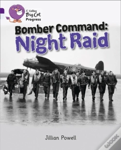 Capa do artigo Bomber Command: Night Raid