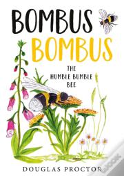 Bombus Bombus