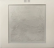 Capa do artigo Bon Iver, Bon Iver - CD