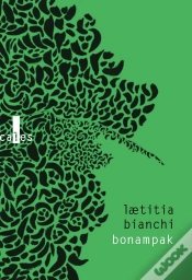 Capa do artigo Bonampak