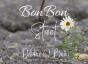 Bonbon Street - Preview