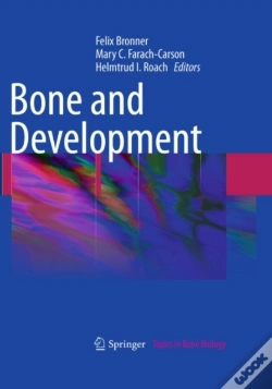 Capa do artigo Bone And Development