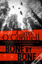 Capa do artigo Bone By Bone