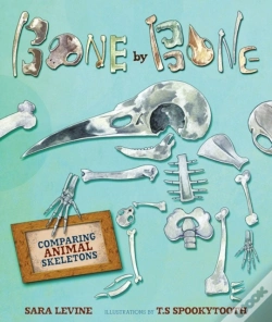 Capa do artigo Bone By Bone