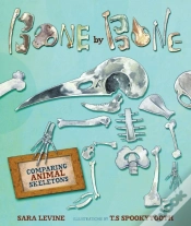 Capa do artigo Bone By Bone