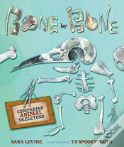 Capa do artigo Bone By Bone