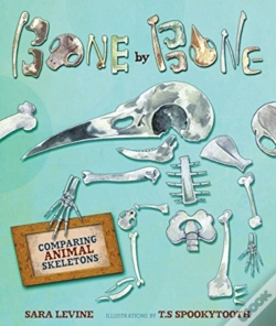 Capa do artigo Bone By Bone