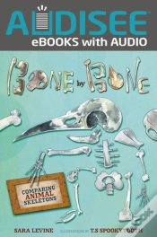 Capa do artigo Bone By Bone