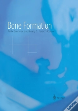 Capa do artigo Bone Formation