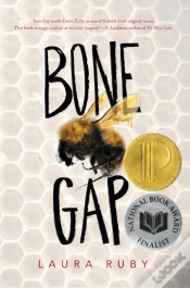 Capa do artigo Bone Gap