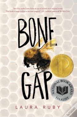Capa do artigo Bone Gap